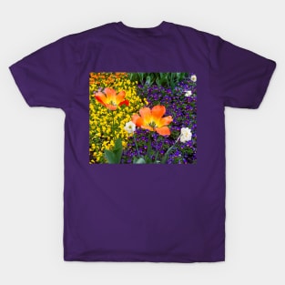 Rainbow of Flowers in Riga, Latvia (Europe) T-Shirt